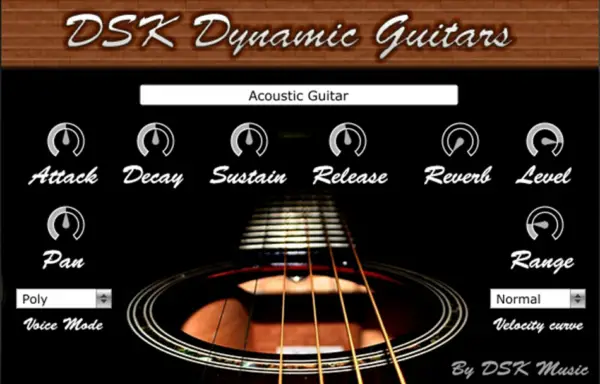 DSK Dynamic Guitars