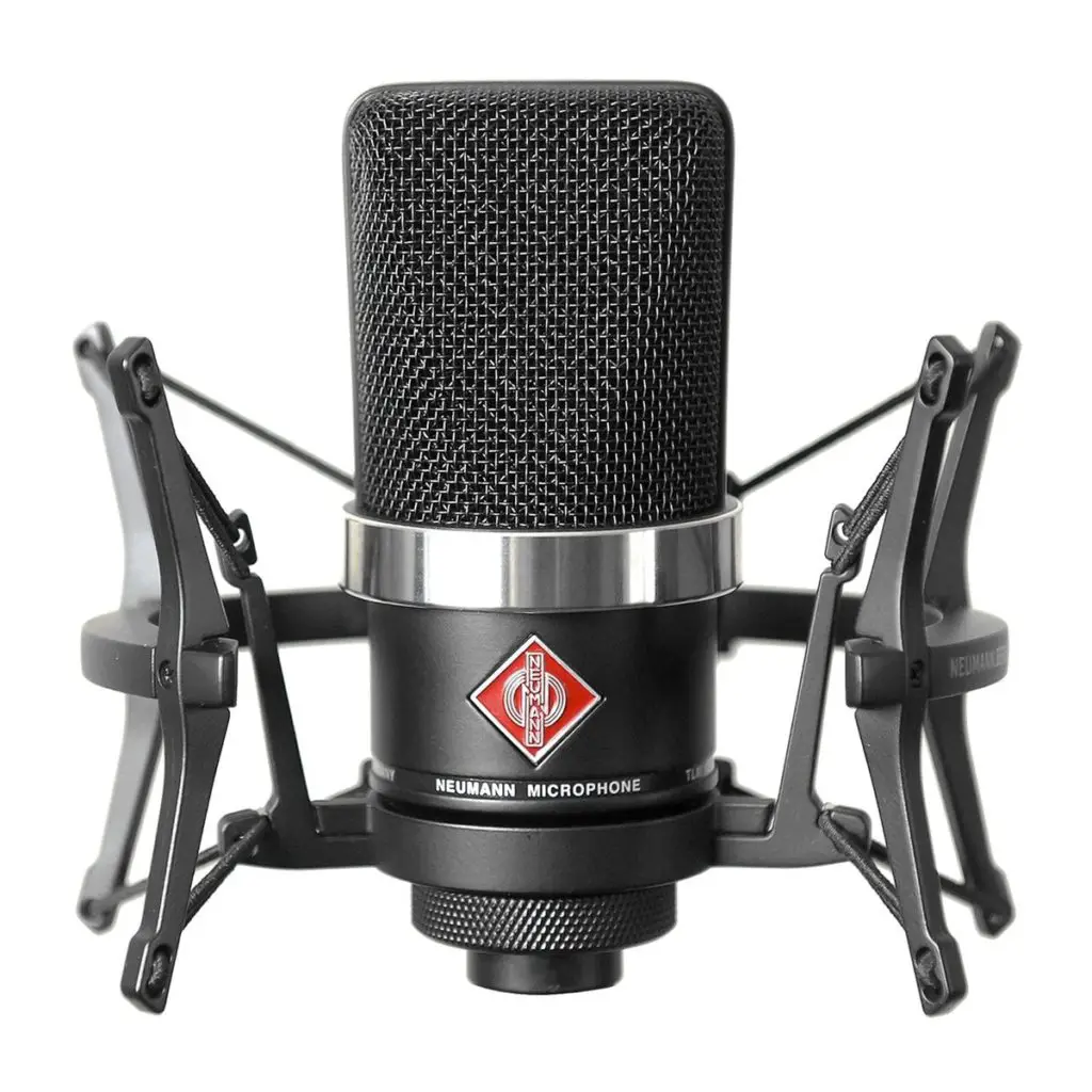 best mic for recording vocals: neumann tlm 102
