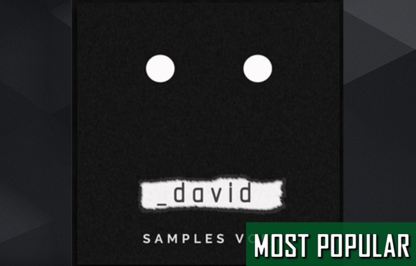 _david Samples Vol 1