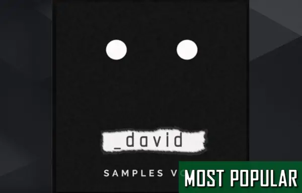 _david Samples Vol 1