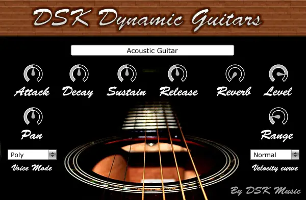 Dynamic Guitars